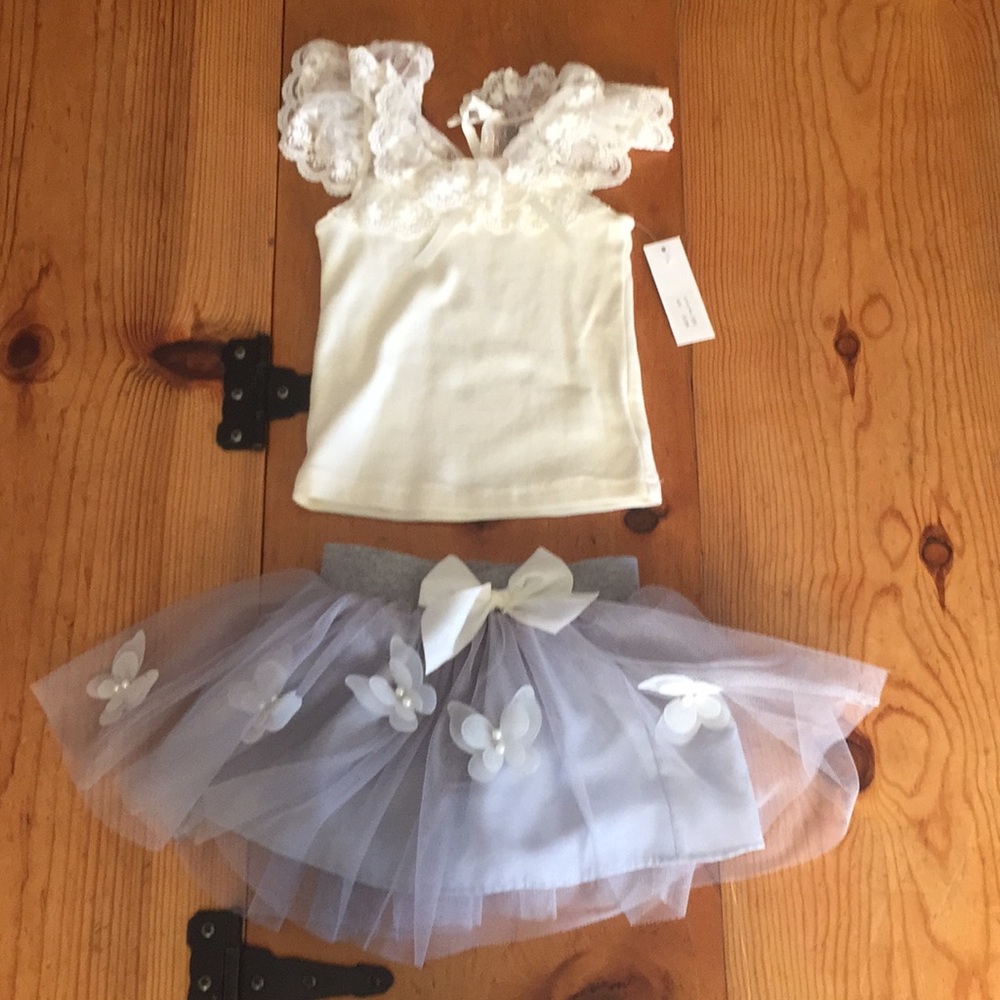 Adorable butterfly tutu and top